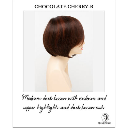 Abbey By Envy in Chocolate Cherry-R-Medium dark brown with auburn and copper highlights and dark brown roots