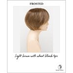 Load image into Gallery viewer, Abbey By Envy in Frosted-Light brown with wheat blonde tips
