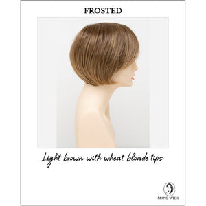 Abbey By Envy in Frosted-Light brown with wheat blonde tips