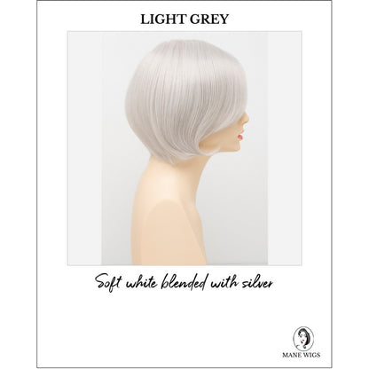 Abbey By Envy in Light Grey-Soft white blended with silver