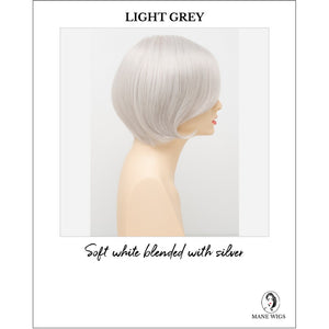 Abbey By Envy in Light Grey-Soft white blended with silver