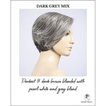Load image into Gallery viewer, Aletta by Ellen Wille in Dark Grey Mix-Darkest &amp; dark brown blended with pearl white and grey blend
