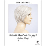 Load image into Gallery viewer, Aletta by Ellen Wille in Silk Grey Mix-Pearl white blended with 75% grey &amp; lightest blonde
