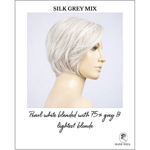Aletta by Ellen Wille in Silk Grey Mix-Pearl white blended with 75% grey & lightest blonde