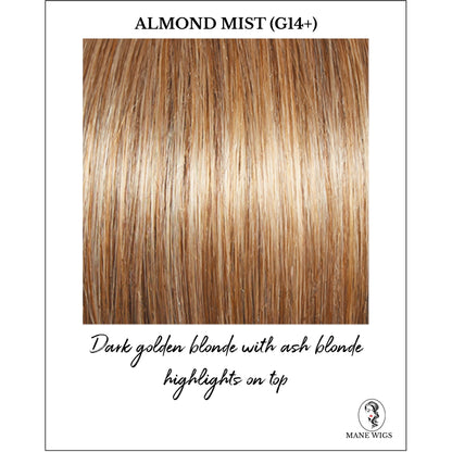 Almond Mist (G14+)-Dark golden blonde with ash blonde highlights on top