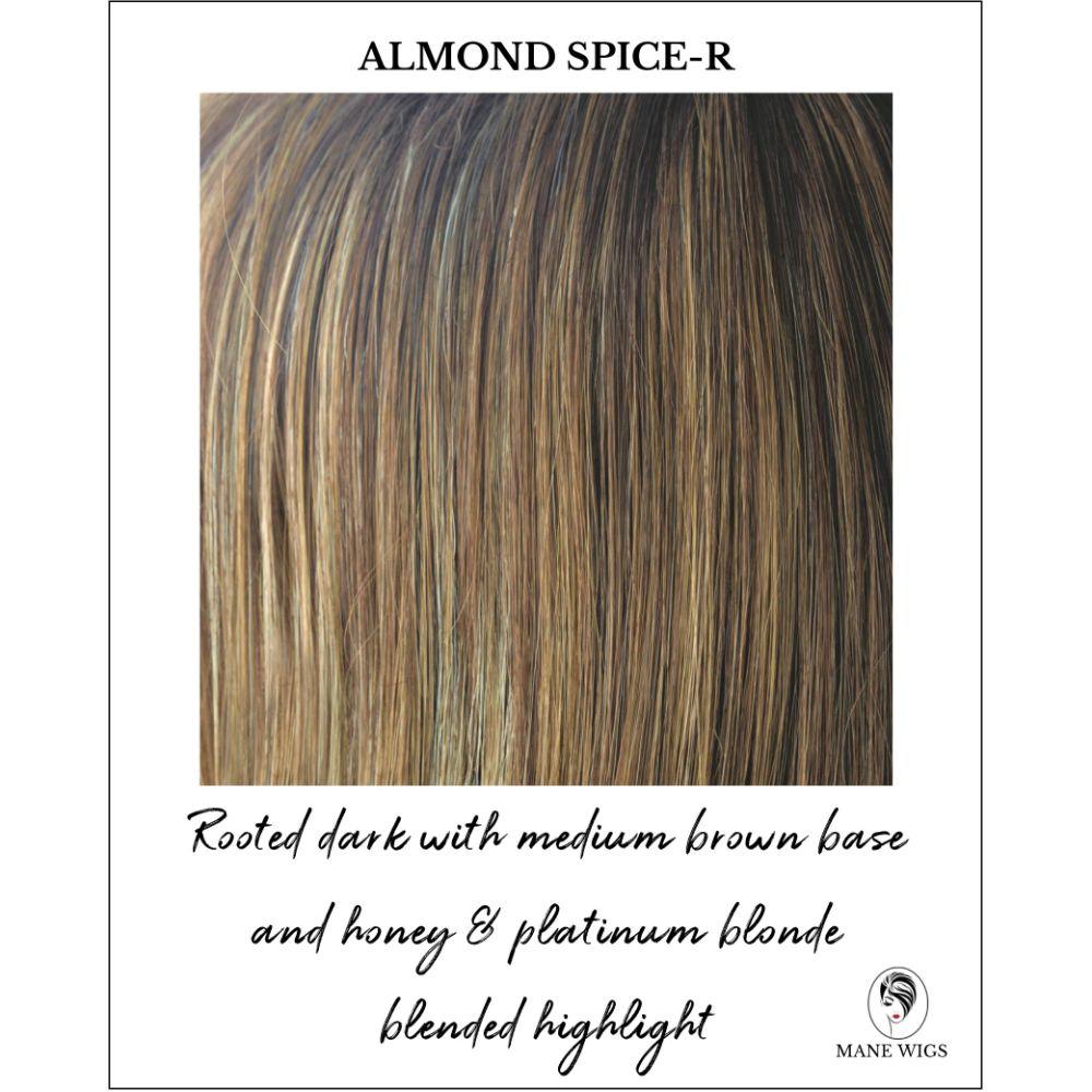 Almond Spice-R-Rooted dark with medium brown base and honey & platinum blonde blended highlight