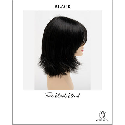 Amber by Envy in Black-True black blend