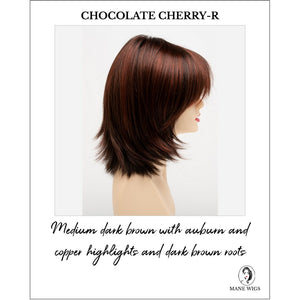 Amber by Envy in Chocolate Cherry-R-Medium dark brown with auburn and copper highlights and dark brown roots