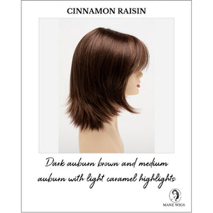 Amber by Envy in Cinnamon Raisin-Dark auburn brown and medium auburn with light caramel highlights
