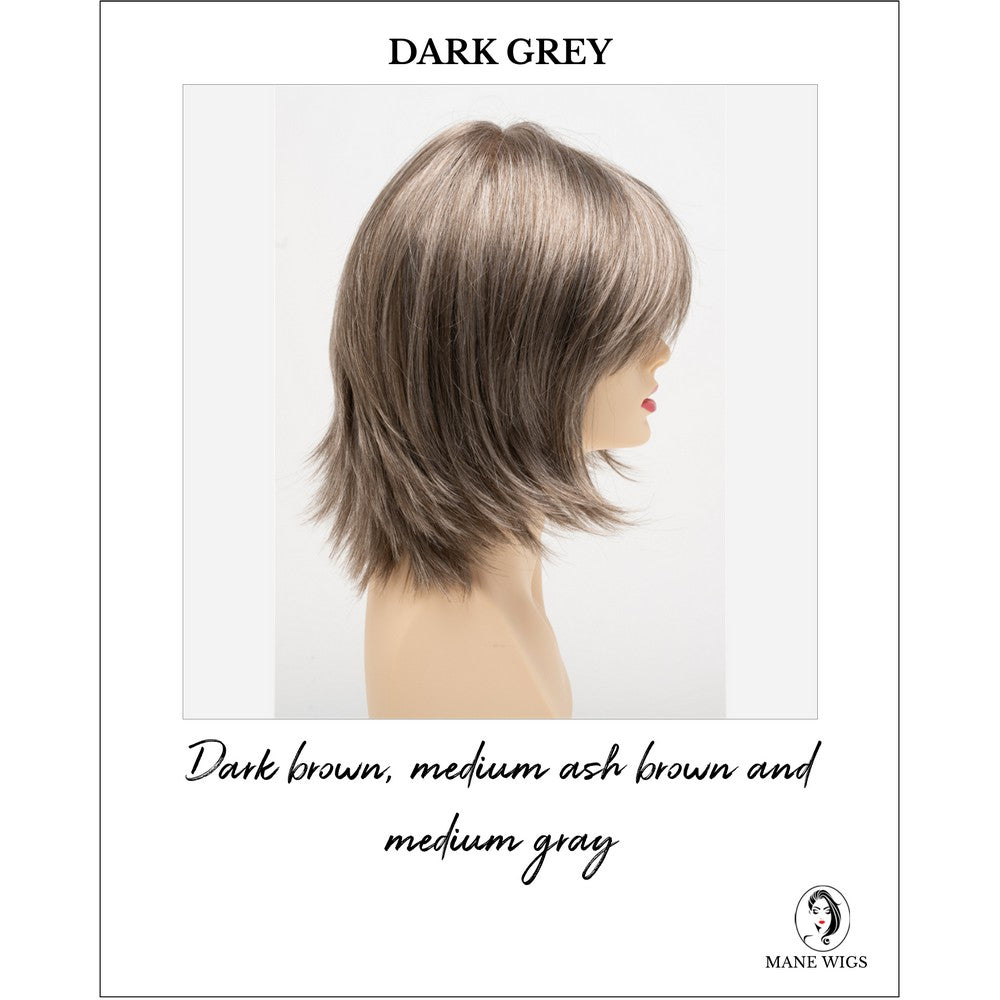 Amber by Envy in Dark Grey-Dark brown, medium ash brown and medium gray