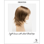 Load image into Gallery viewer, Amber by Envy in Frosted-Light brown with wheat blonde tips
