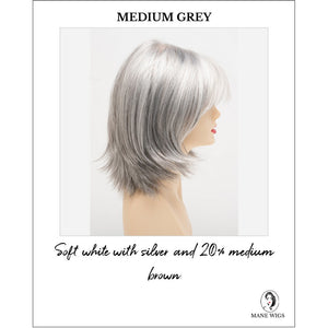 Amber by Envy in Medium Grey-Soft white with silver and 20% medium brown