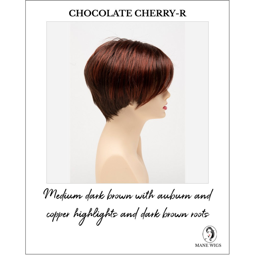 Amy by Envy in Chocolate Cherry-R-Medium dark brown with auburn and copper highlights and dark brown roots