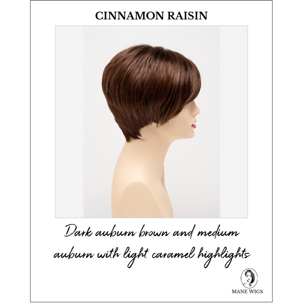 Amy by Envy in Cinnamon Raisin-Dark auburn brown and medium auburn with light caramel highlights