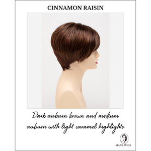 Amy by Envy in Cinnamon Raisin-Dark auburn brown and medium auburn with light caramel highlights