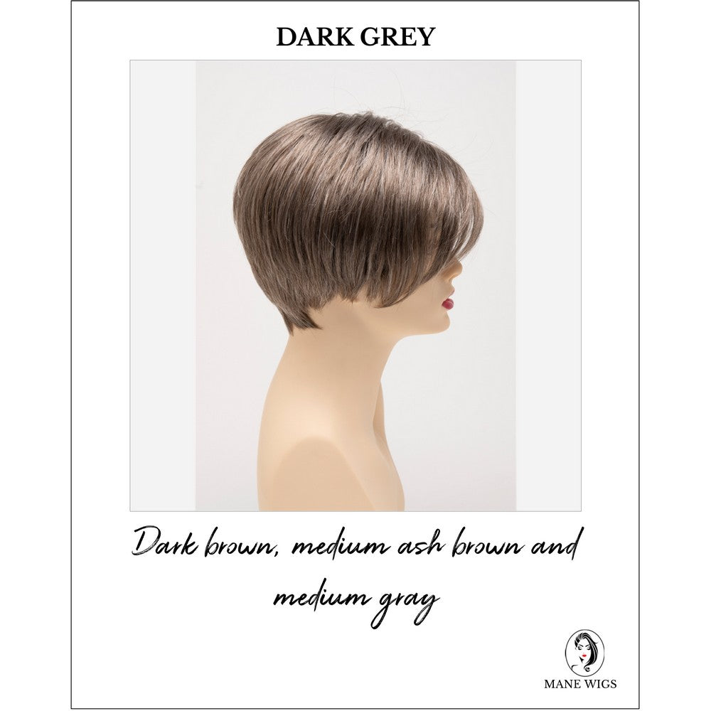 Amy by Envy in Dark Grey-Dark brown, medium ash brown and medium gray