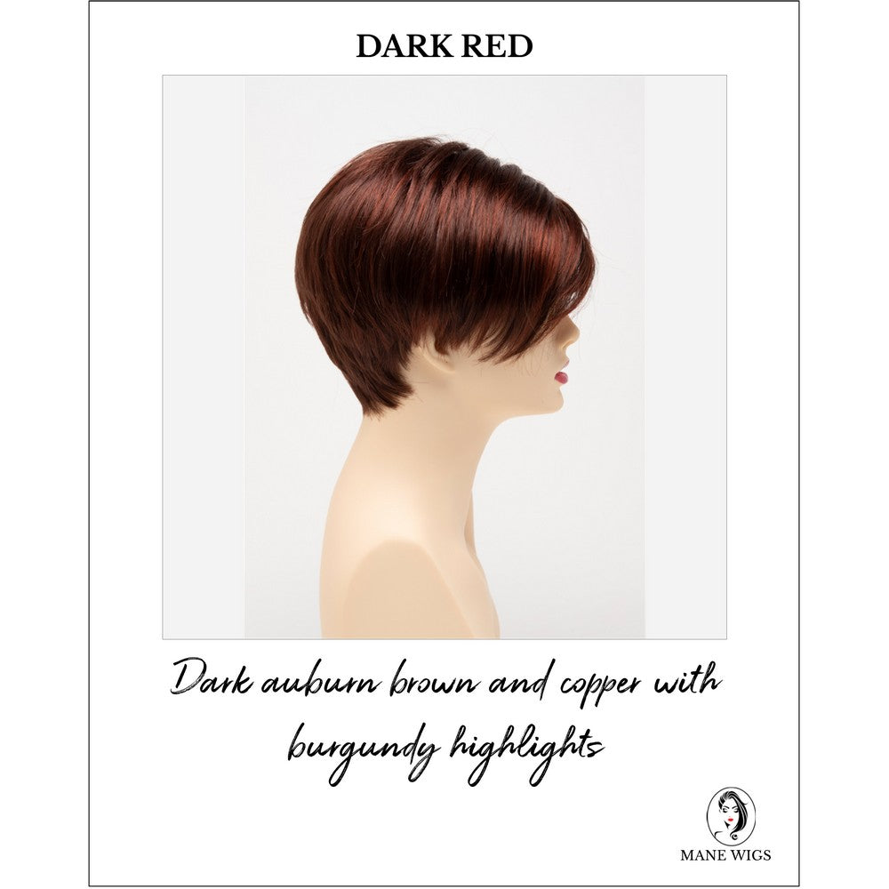 Amy by Envy in Dark Red-Dark auburn brown and copper with burgundy highlights