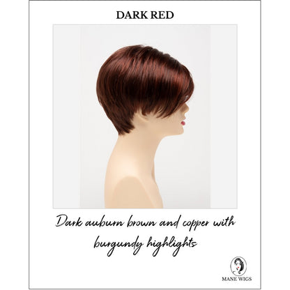 Amy by Envy in Dark Red-Dark auburn brown and copper with burgundy highlights