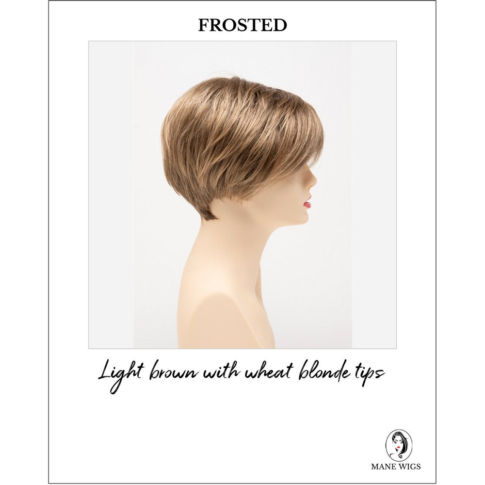 Amy by Envy in Frosted-Light brown with wheat blonde tips
