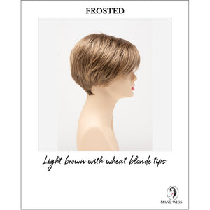 Amy by Envy in Frosted-Light brown with wheat blonde tips