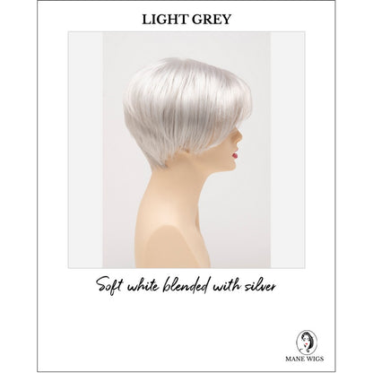Amy by Envy in Light Grey-Soft white blended with silver