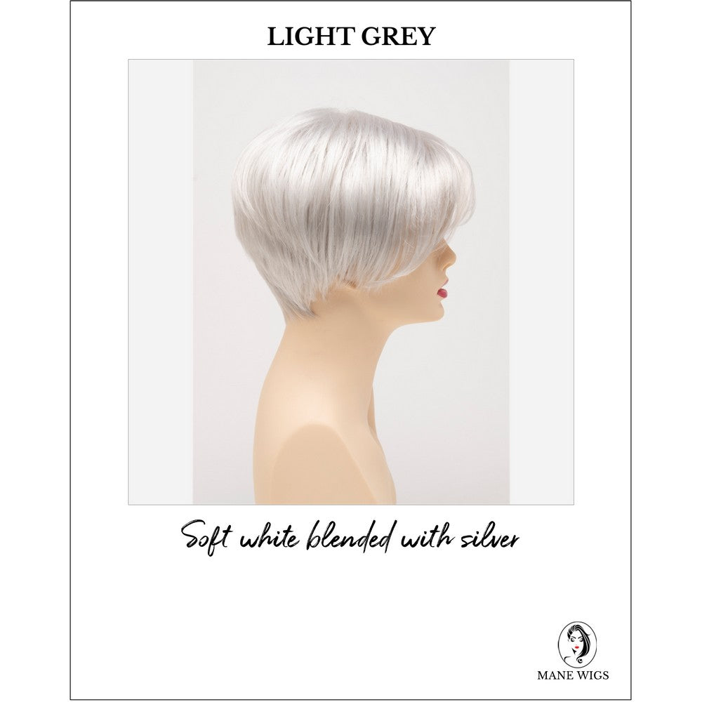 Amy by Envy in Light Grey-Soft white blended with silver