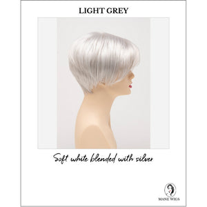 Amy by Envy in Light Grey-Soft white blended with silver