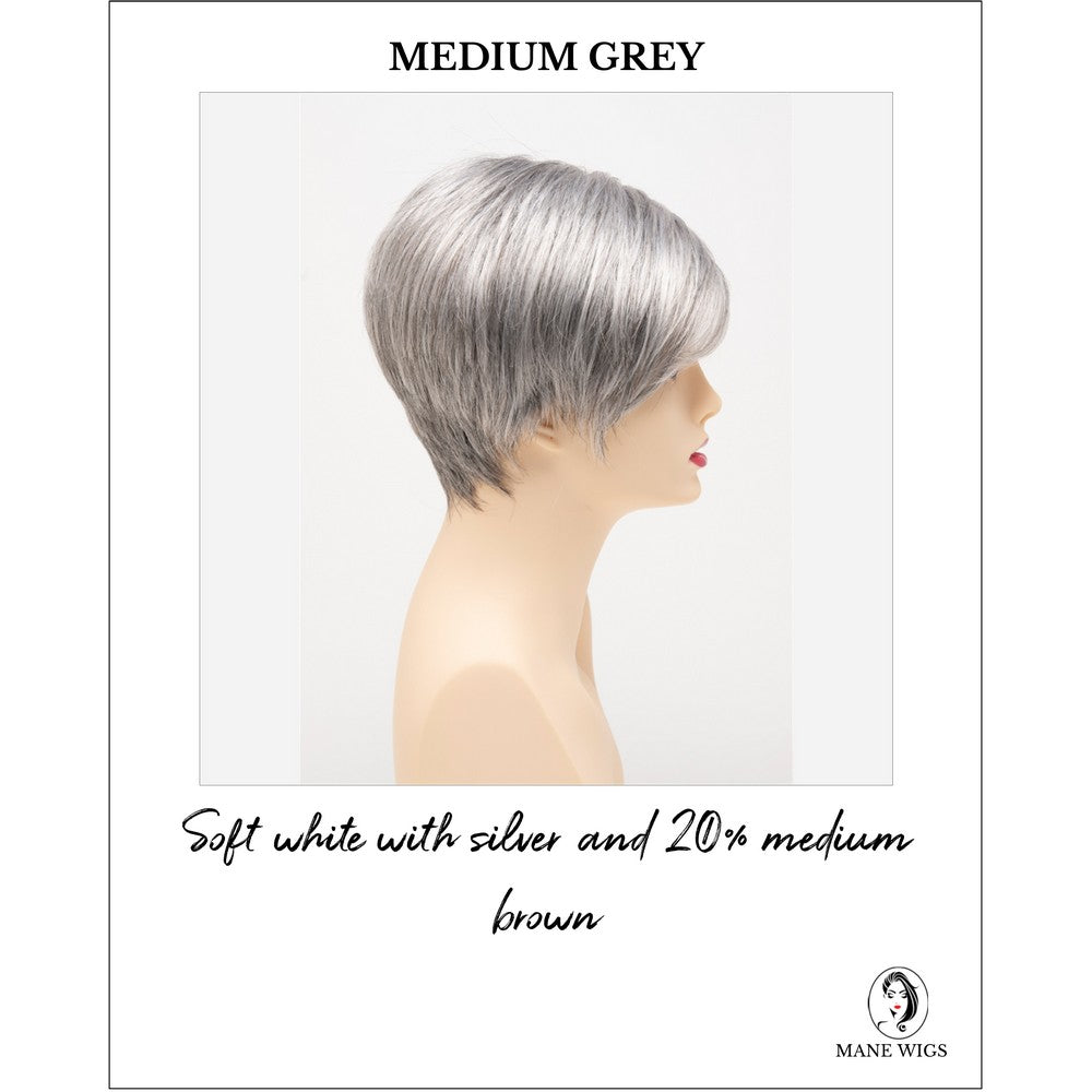 Amy by Envy in Medium Grey-Soft white with silver and 20% medium brown