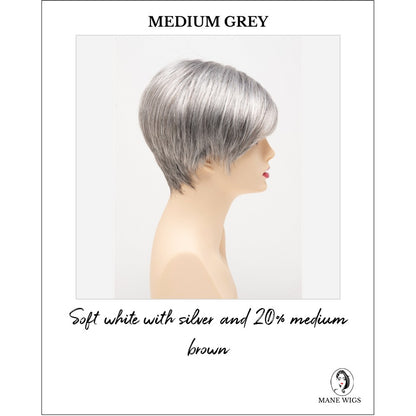 Amy by Envy in Medium Grey-Soft white with silver and 20% medium brown