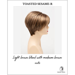 Amy by Envy in Toasted Sesame-R-Light brown blend with medium brown roots