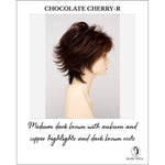 Load image into Gallery viewer, Aria By Envy in Chocolate Cherry-R-Medium dark brown with auburn and copper highlights and dark brown roots
