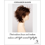 Load image into Gallery viewer, Aria By Envy in Cinnamon Raisin-Dark auburn brown and medium auburn with light caramel highlights
