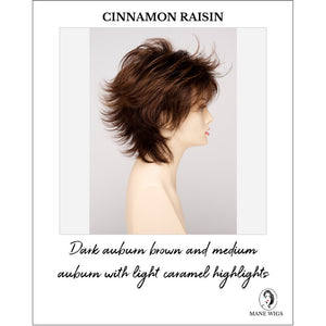 Aria By Envy in Cinnamon Raisin-Dark auburn brown and medium auburn with light caramel highlights