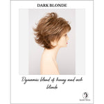 Load image into Gallery viewer, Aria By Envy in Dark Blonde-Dynamic blend of honey and ash blonde
