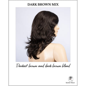 Aria in Dark Brown Mix-Darkest brown and dark brown blend