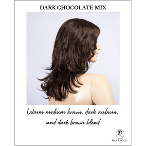 Aria in Dark Chocolate Mix-Warm medium brown, dark auburn, and dark brown blend