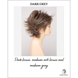 Aria By Envy in Dark Grey-Dark brown, medium ash brown and medium gray