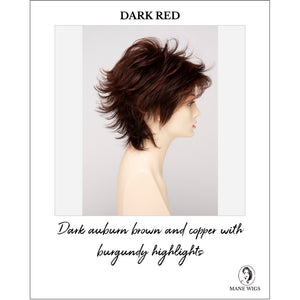 Aria By Envy in Dark Red-Dark auburn brown and copper with burgundy highlights
