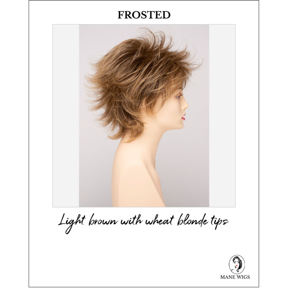 Aria By Envy in Frosted-Light brown with wheat blonde tips