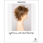Load image into Gallery viewer, Aria By Envy in Frosted-Light brown with wheat blonde tips

