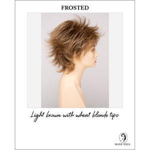 Aria By Envy in Frosted-Light brown with wheat blonde tips