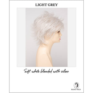 Aria By Envy in Light Grey-Soft white blended with silver