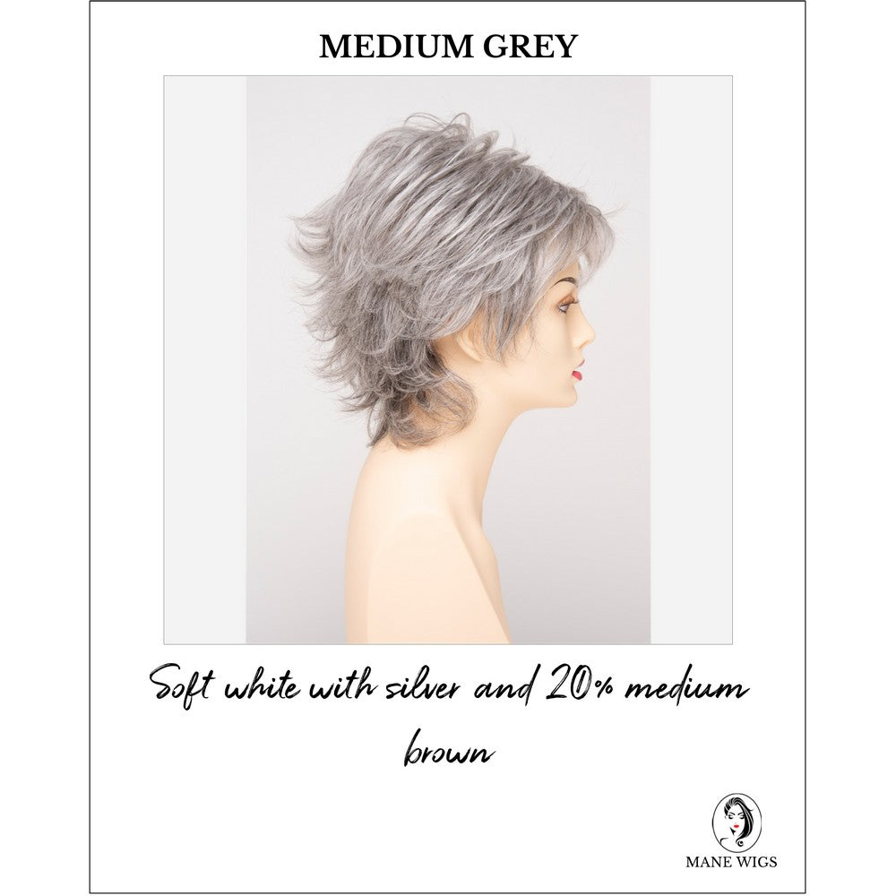 Aria By Envy in Medium Grey-Soft white with silver and 20% medium brown