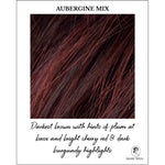 Load image into Gallery viewer, Aubergine Mix-Darkest brown with hints of plum at base and bright cherry red &amp; dark burgundy highlights
