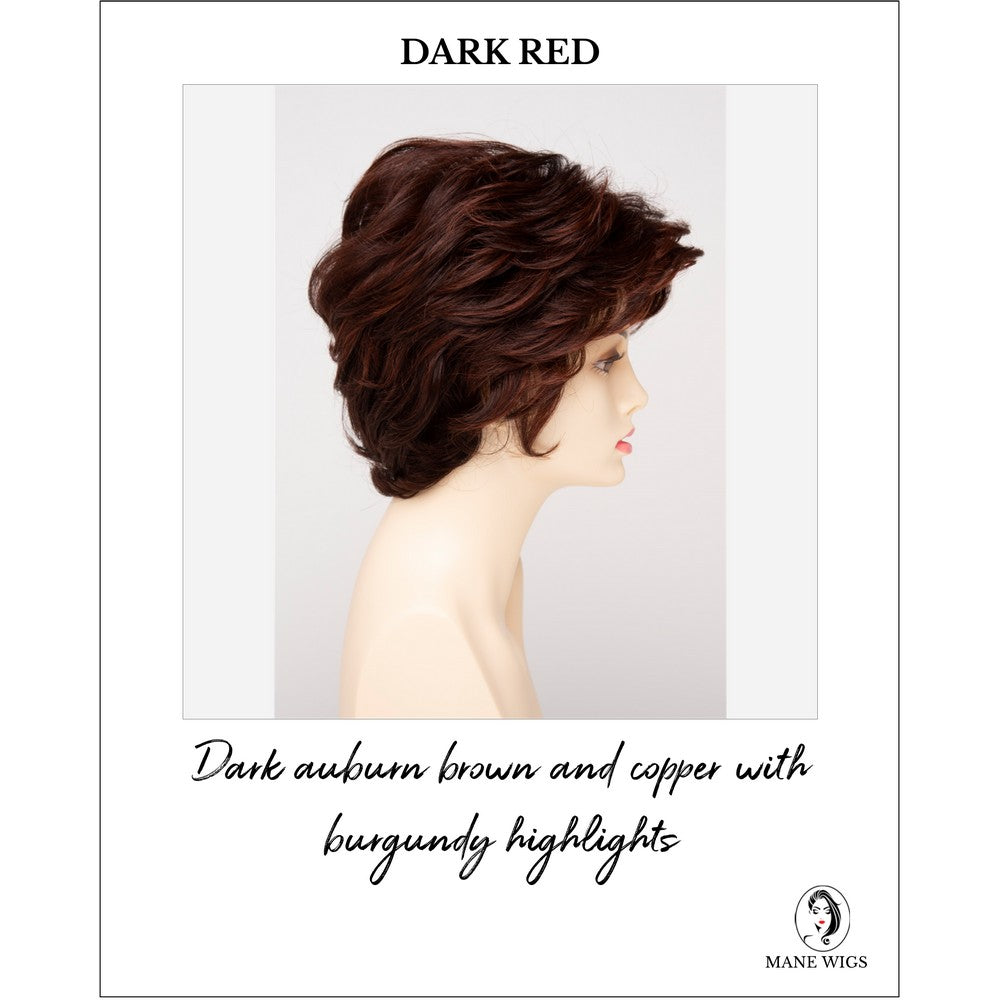 Aubrey By Envy in Dark Red-Dark auburn brown and copper with burgundy highlights