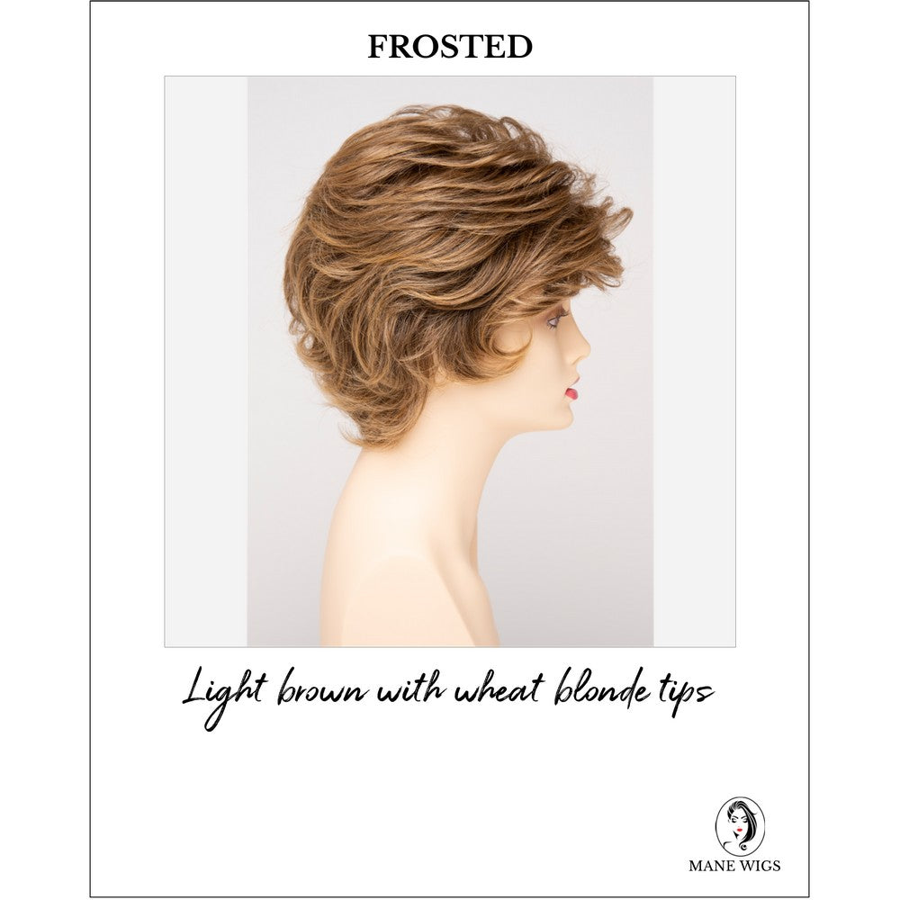 Aubrey By Envy in Frosted-Light brown with wheat blonde tips