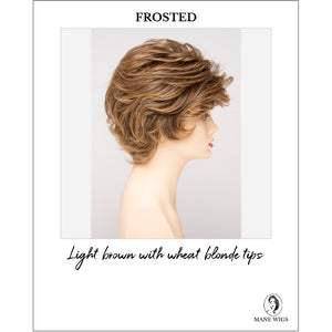 Aubrey By Envy in Frosted-Light brown with wheat blonde tips