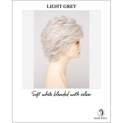 Aubrey By Envy in Light Grey-Soft white blended with silver