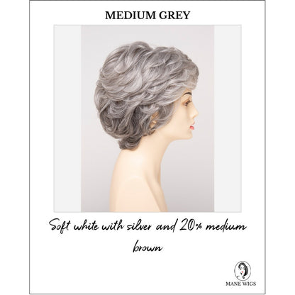 Aubrey By Envy in Medium Grey-Soft white with silver and 20% medium brown