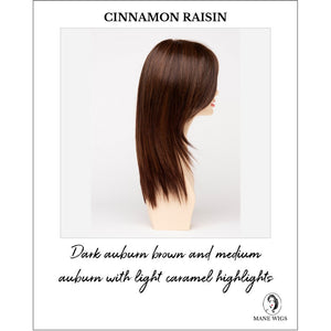 Ava By Envy in Cinnamon Raisin-Dark auburn brown and medium auburn with light caramel highlights